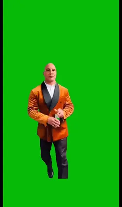The Rock Walking 
