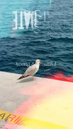 Young & Beautiful 