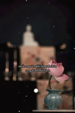 Nhiều người nghĩ 📿