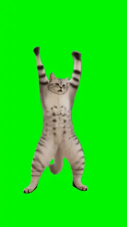 Baby got Cats