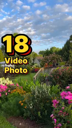 18 video or photo