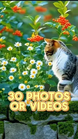 30 Video Slides