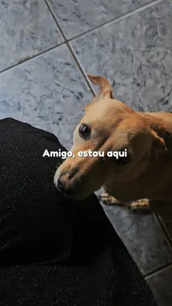 Amigo, estou aqui 