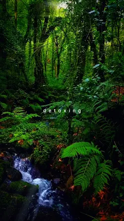 detoxing