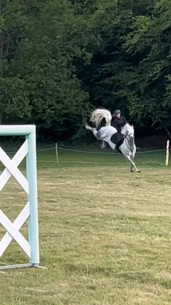 Horse fail slomo‼️AI‼️