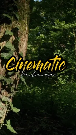 cinematic nature