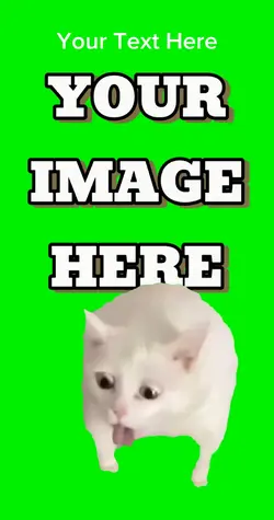 Cat gagging meme