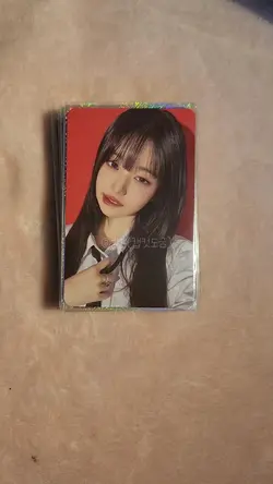 거지다이브의 포카탑 챌린지ㅣ관상용XX