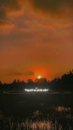 Mẫu 1 video ảnh 