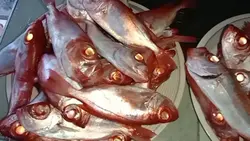 Kwow