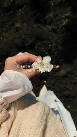 Plant a tree