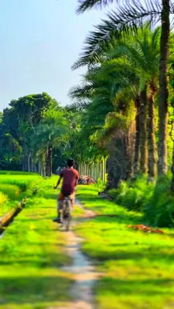 শীত কালীন গ্রামের দৃশ্য।