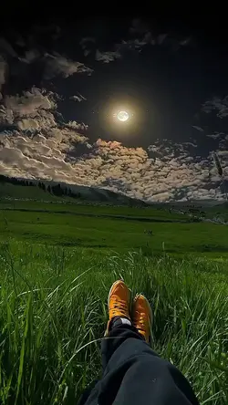 surat  az zukhruf