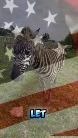 4th of July