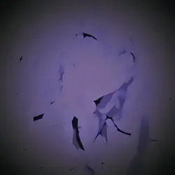 らくらく安楽死