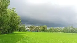 Weather