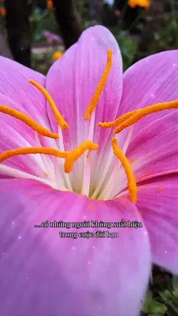 Hãy yêu bản thân