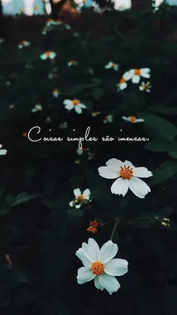 Coisas Simples 