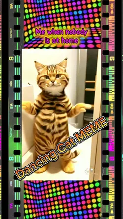 Dancing Cat meme
