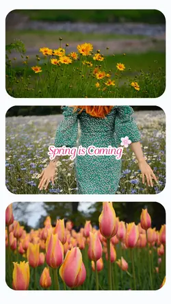 Spring is coming