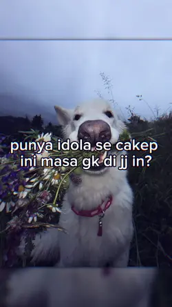 punya idola se cakep
