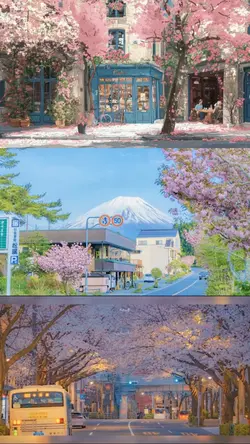 Sakura