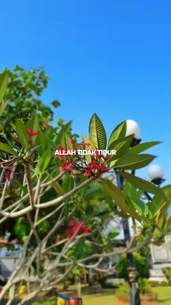 REZEKI SUDAH DI ATUR