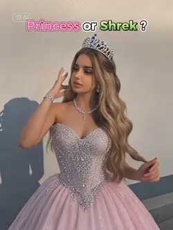 princess or shrek?