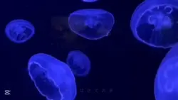 マイハートハードピンチ