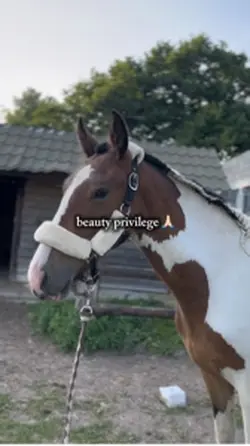 Beauty privilege ✨