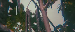 Short film