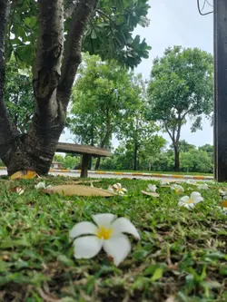 โพสไปเรื่อย