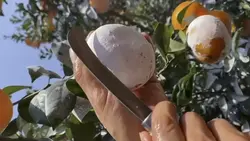So satisfying 