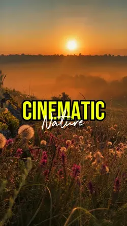 NATURE CINEMATIC