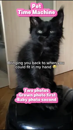 Pet Time Machine 