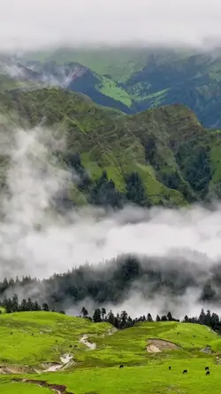 KABUT