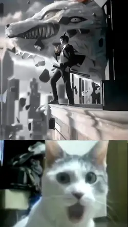 cat react