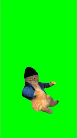 cat jamming out meme