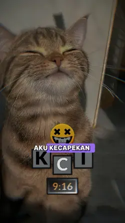 aku kecapekan cari 