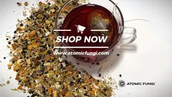 Product Promo Video