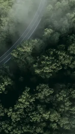 Green Earth