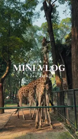 Zoo date🌻🥰🥰
