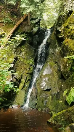 nature