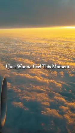 Feel This Moment