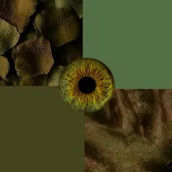 hazel x green