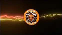 electric flash