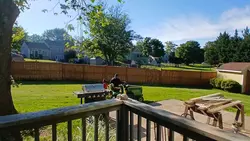 SummerVidez