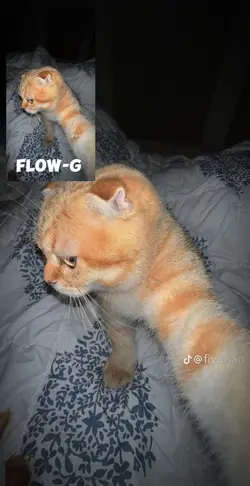 FLOW-G
