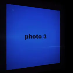 phonk