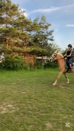 slowmo